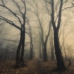 Туманная ночь 89