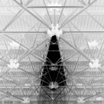 Скелетон #10691