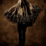 Callaghan Dress, Paris Callaghan Dress, Paris