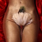 16th-Century Aztec Fan, New York City 16th-Century Aztec Fan, New York City