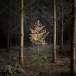 Дым и зеркала 5 Дым и зеркала 5