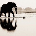 Прогулка, Ботсвана