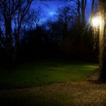 Пункт наблюдения 8 Пункт наблюдения 8