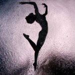 Говард Шатц Говард Шатц