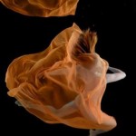 Говард Шатц Говард Шатц