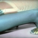 Бьянка на шкафу в своей квартире Бьянка на шкафу в своей квартире