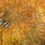 Михаэль Полица