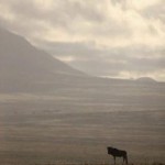 Tansania series 002 Tansania series 002