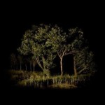 Острова 3 Острова 3