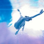 Говард Шатц Говард Шатц