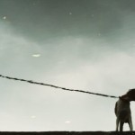 ЮЛИЯ ВЕБЕР, У КАЖОГО ПСА СВОЯ ОСЕНЬ