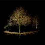 Острова 5 Острова 5