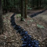 Следуй за мной 1 Следуй за мной 1