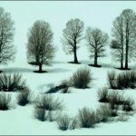 Невада, США, тополя