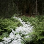 Следуй за мной 2 Следуй за мной 2