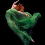 Говард Шатц Говард Шатц