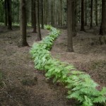 Следуй за мной 7 Следуй за мной 7