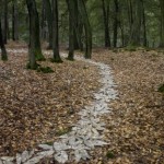 Следуй за мной 8 Следуй за мной 8