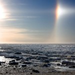 Михаэль Полица