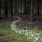 Следуй за мной 9 Следуй за мной 9