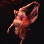 Говард Шатц Говард Шатц