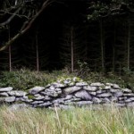 Тихий, темный и дремучий 4 Тихий, темный и дремучий 4