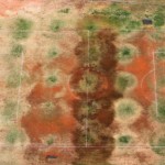 Михаэль Полица