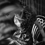 “Elegance”, Джуди Дент А