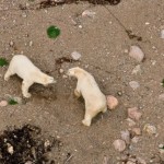 Михаэль Полица