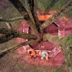 Михаэль Полица