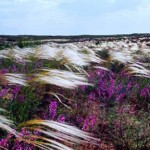 Антон Ланге