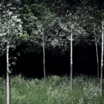 Тихий, темный и дремучий 6 Тихий, темный и дремучий 6