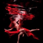 Говард Шатц Говард Шатц