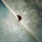 СТЕПАН ГАНДЖА, БЕЗ НАЗВАНИЯ