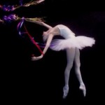 Говард Шатц Говард Шатц