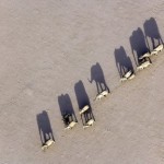 Марширующие слоны в пустыне, Дамараленд, Намибия