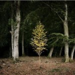 Дым и зеркала 1 Дым и зеркала 1