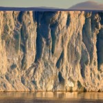 Михаэль Полица