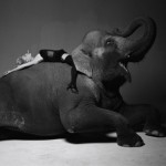 Дерил Ханна, L’Uomo Vogue