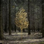 Дым и зеркала 2 Дым и зеркала 2