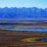 Антон Ланге