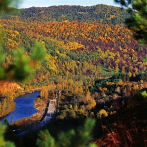 Антон Ланге