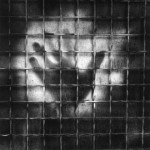 Рука, Дивизадеро