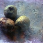 Sill Life with Fruit