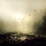 And I Keep Falling And I Keep Falling