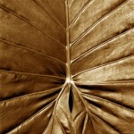 Вячеслав Маевский Вячеслав Маевский