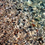 Вячеслав Маевский19 Вячеслав Маевский19