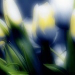 Вячеслав Маевский5 Вячеслав Маевский5