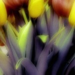 Вячеслав Маевский6 Вячеслав Маевский6