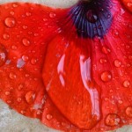 Вячеслав Маевский7 Вячеслав Маевский7